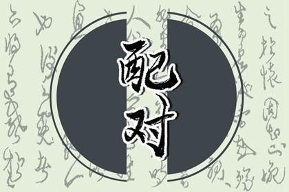 纳音比和意味着什么
